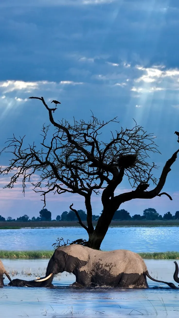 Namibia and Botswana？